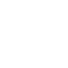Data Integrity